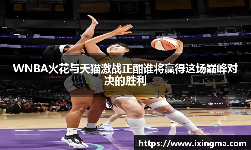 WNBA火花与天猫激战正酣谁将赢得这场巅峰对决的胜利
